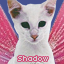 Shadow Cat's Avatar