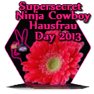 Super Secret Ninja Cowboy Hausfrau 2013 Award